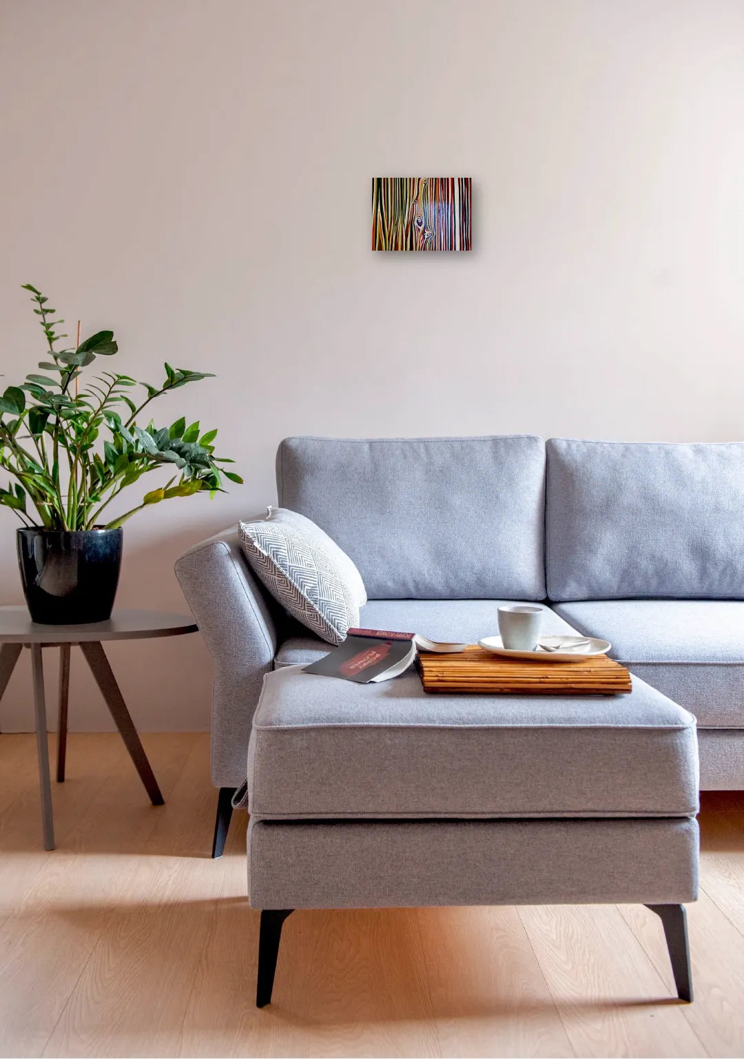 “クリスマスノキ”